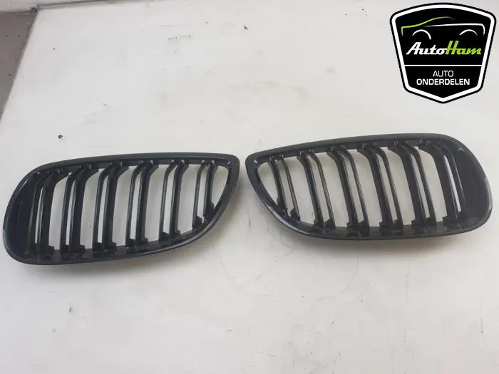 Grille BMW 3-Serie