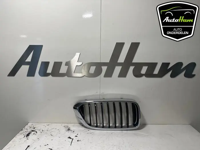 Grille BMW 6-Serie