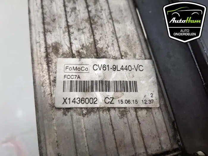 Intercooler Ford Focus