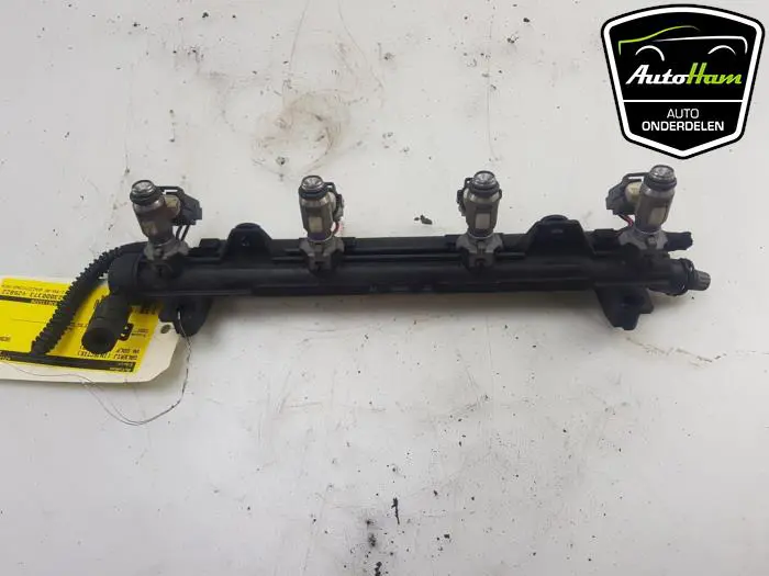 Galerij (Injectie) Volkswagen Golf