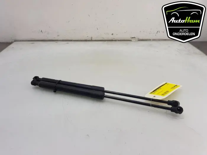 Set Gasdempers Achterklep Renault Clio