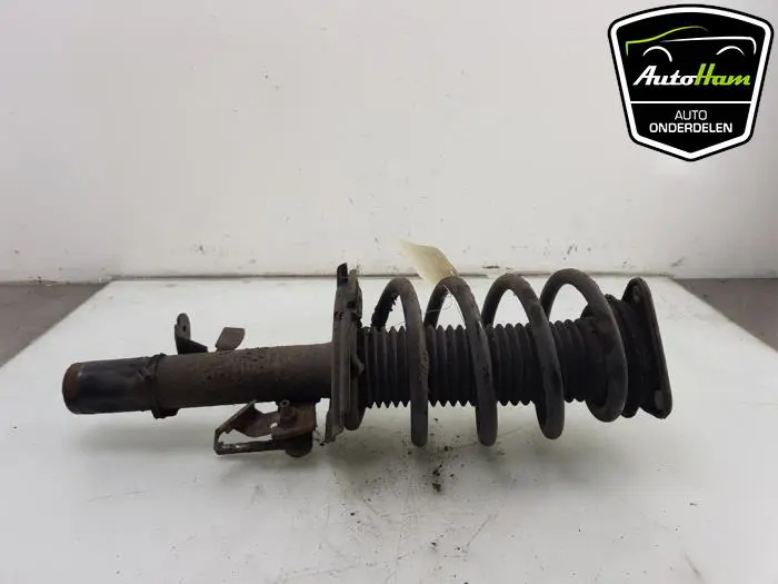 Schokdemper links-voor Ford Transit Connect