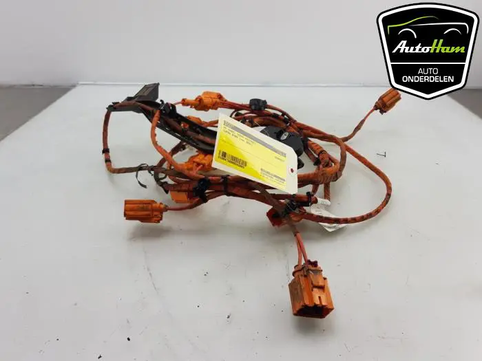 HV kabel (hoog voltage) Cupra Born