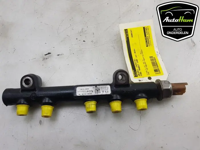 Galerij (Injectie) Ford Transit Connect