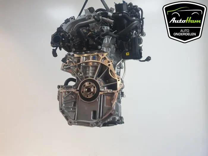 Motor Dacia Sandero