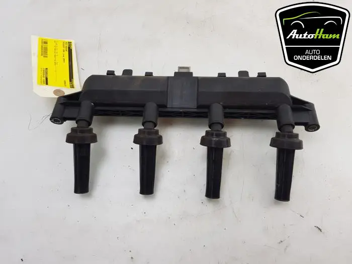 Bobine Peugeot 206