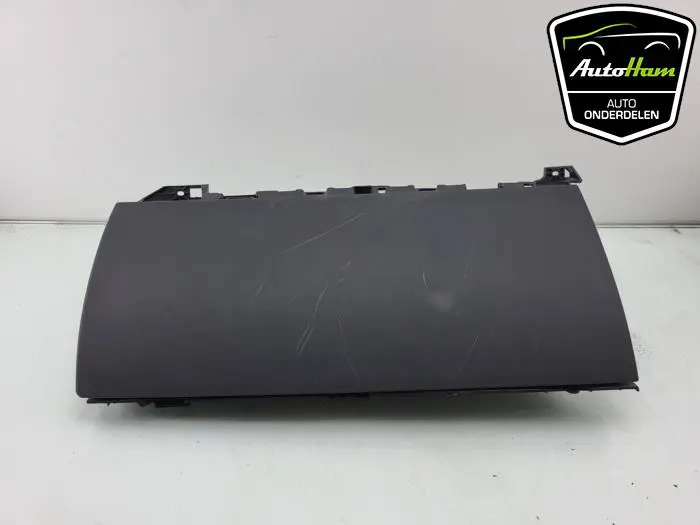 Dashboardkastje Tesla Model 3