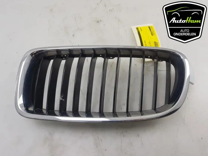 Grille BMW 3-Serie