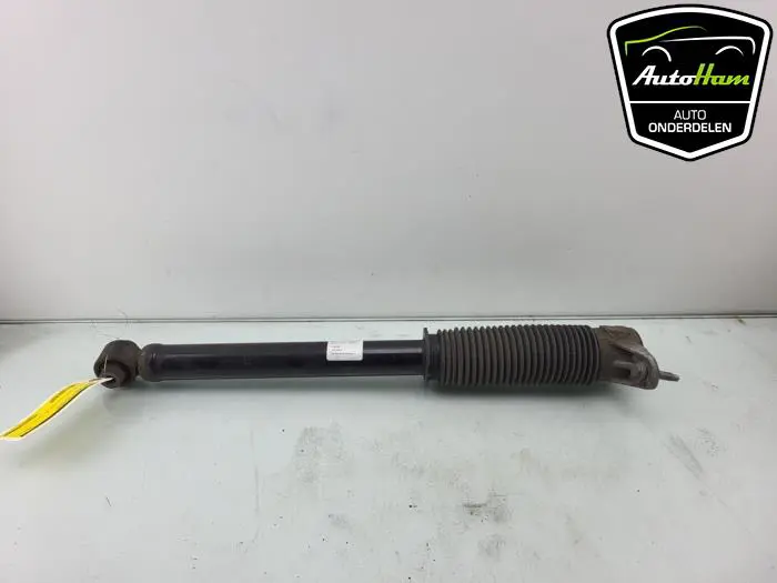 Schokdemper links-achter Tesla Model 3