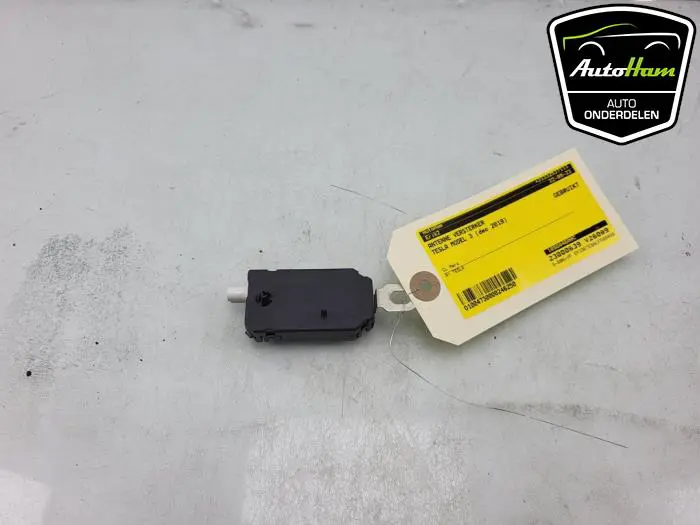Antenne Versterker Tesla Model 3