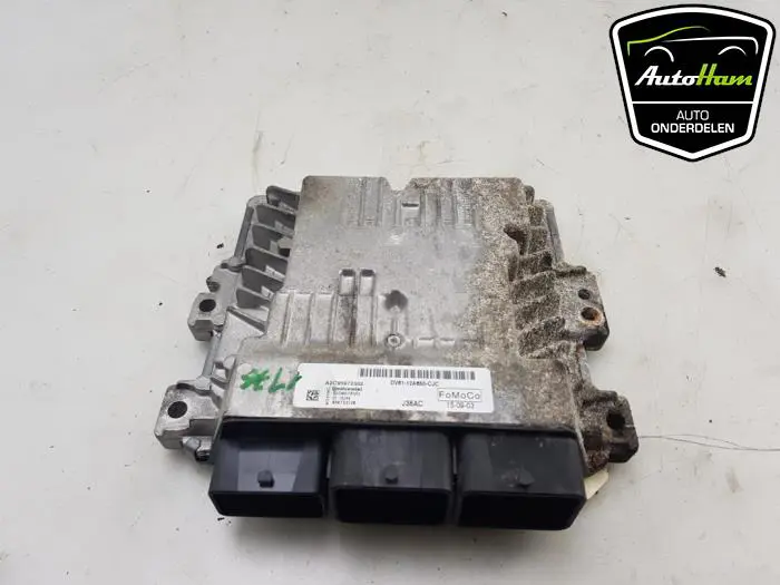Computer Motormanagement Ford Transit Connect