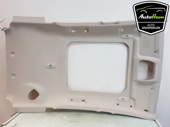 Hemelbekleding Ford C-Max