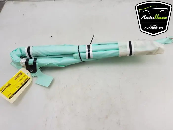Airbag hemel links Ford Transit Connect