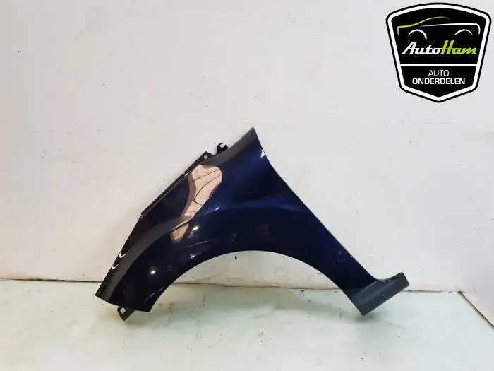 Scherm links-voor Ford Fiesta
