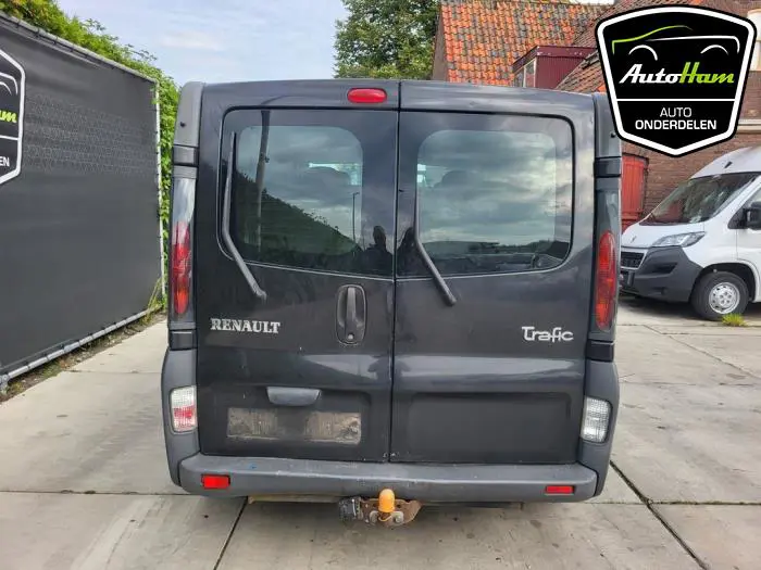 Achterdeur Bus-Bestelauto Renault Trafic