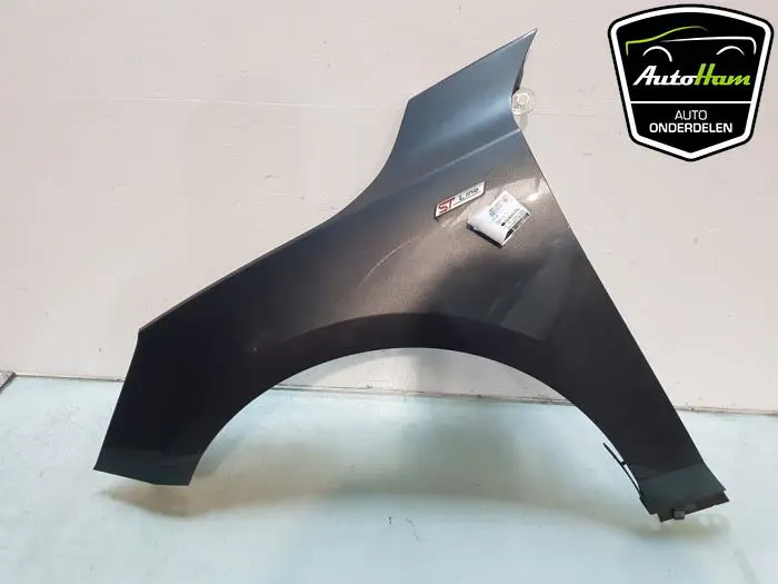 Scherm links-voor Ford Focus