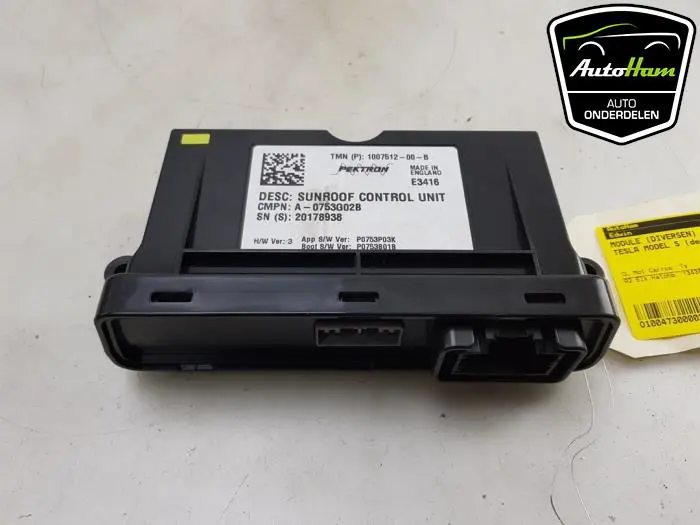 Module (diversen) Tesla Model S