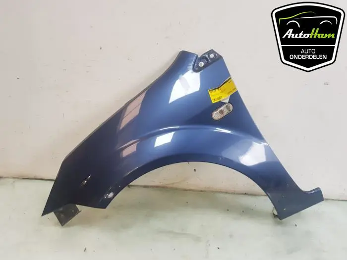 Scherm links-voor Ford Fiesta