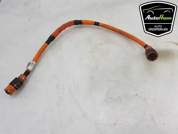 HV kabel (hoog voltage) BMW X5