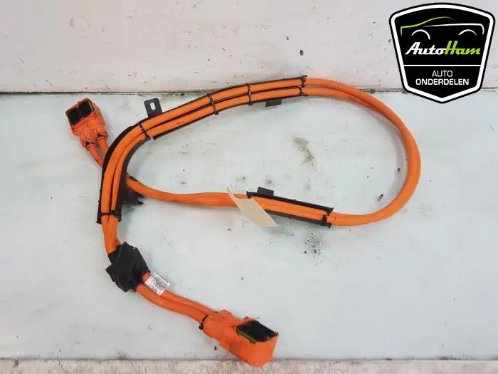 HV kabel (hoog voltage) BMW X5