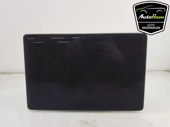 Display Multi Media regelunit Tesla Model 3