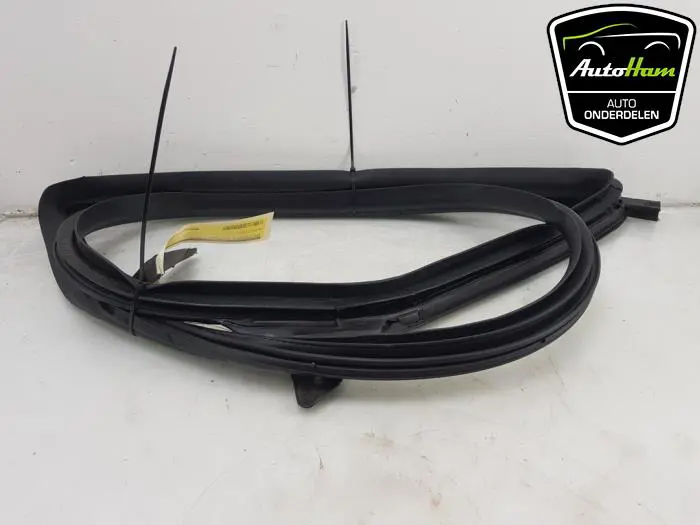 Portierrubber 4Deurs links-achter Tesla Model 3