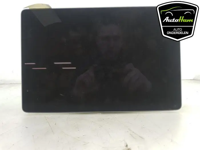 Display Multi Media regelunit Tesla Model 3