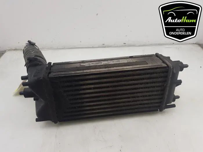 Intercooler Ford Fiesta