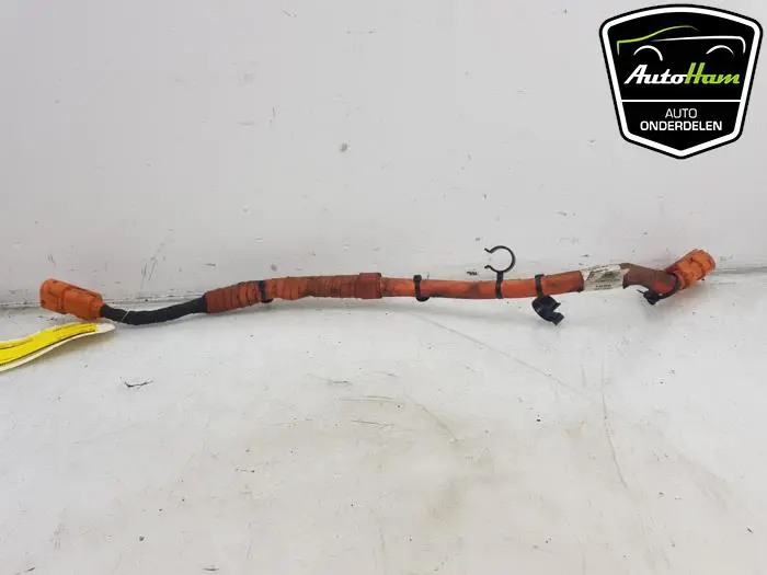 HV kabel (hoog voltage) Volkswagen Golf