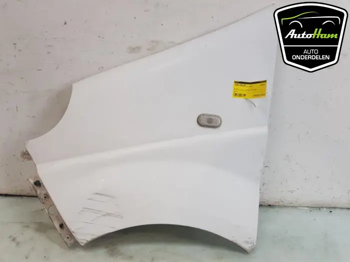 Scherm links-voor Nissan Primastar