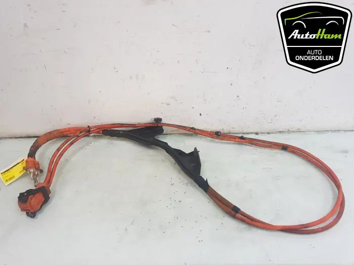 HV kabel (hoog voltage) Volkswagen Golf