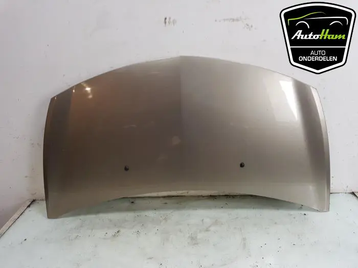 Voorbumper Renault Clio
