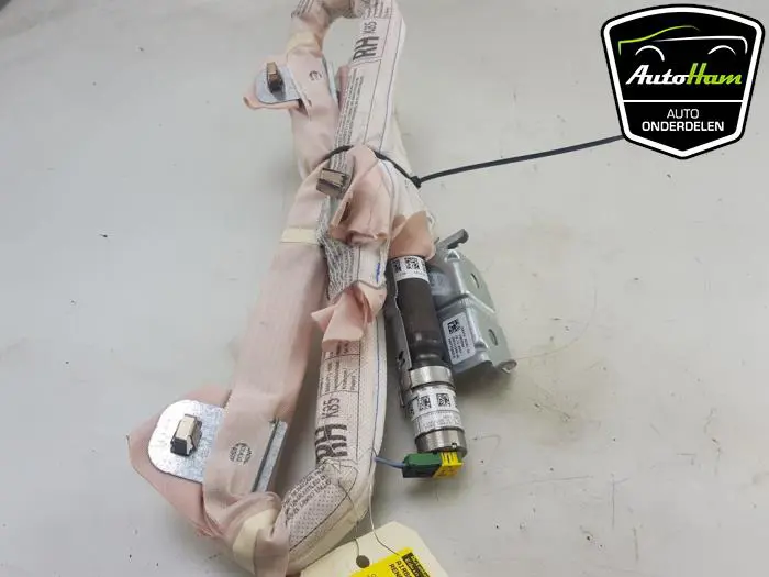 Airbag hemel rechts Renault Clio