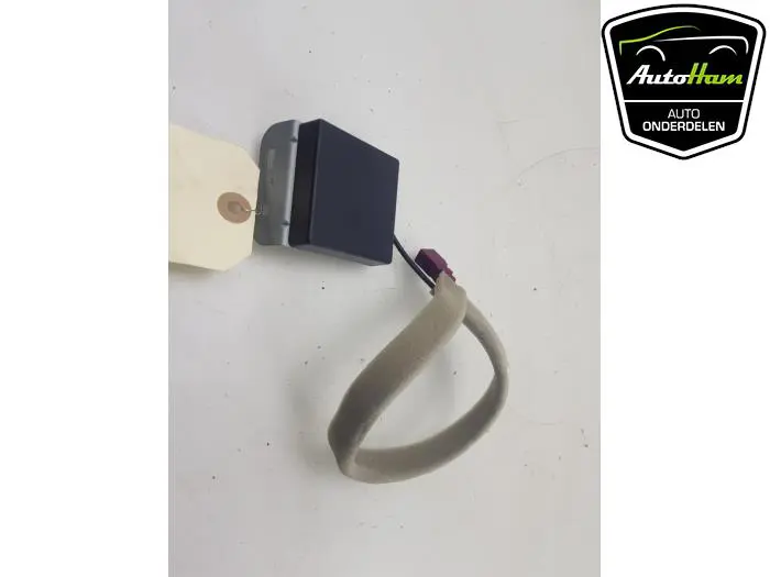 Antenne (diversen) Renault Clio