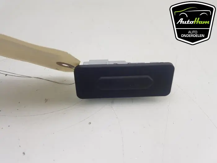 Handgreep Achterklep Renault Clio
