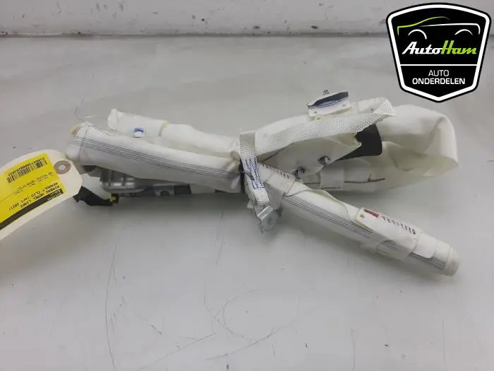Airbag hemel links Renault Clio