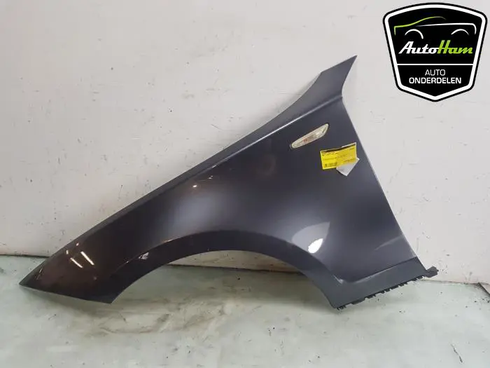 Scherm links-voor BMW 1-Serie