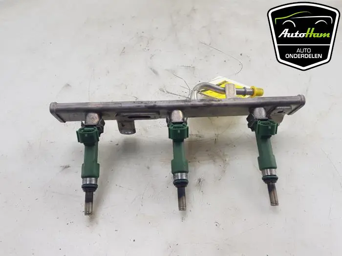 Galerij (Injectie) Renault Clio