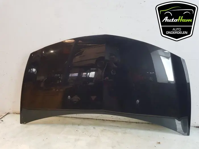 Scherm links-voor Renault Clio