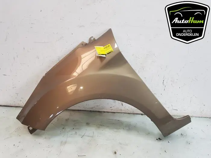 Scherm links-voor Ford Fiesta