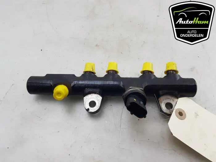 Galerij (Injectie) Renault Clio
