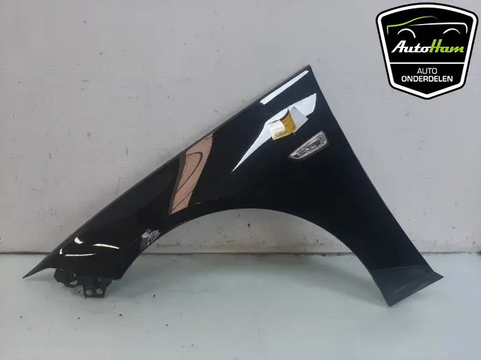 Scherm links-voor Opel Insignia
