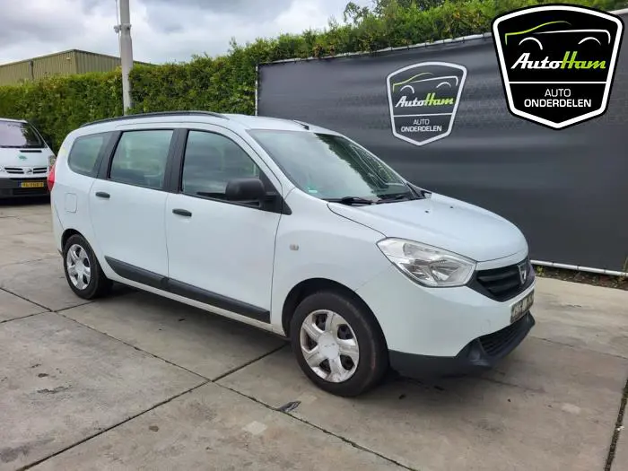 Scherm rechts-voor Dacia Lodgy