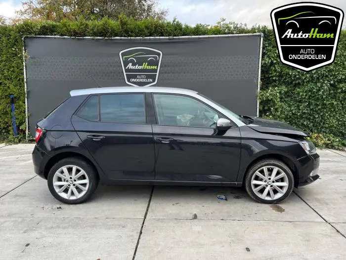 Portier 4Deurs rechts-achter Skoda Fabia