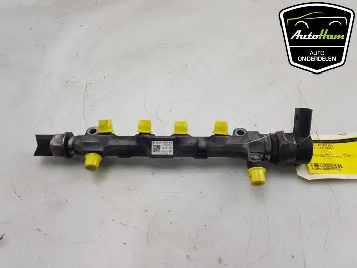 Galerij (Injectie) Volkswagen Golf