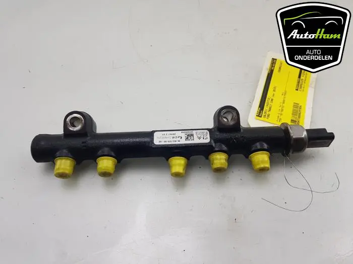 Galerij (Injectie) Ford Transit Connect