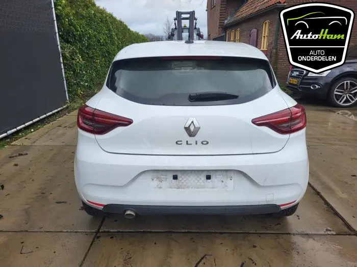 Achterklep Renault Clio