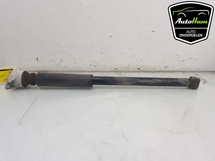 Schokdemper links-achter Ford Fiesta