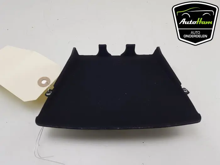 Module (diversen) Tesla Model S