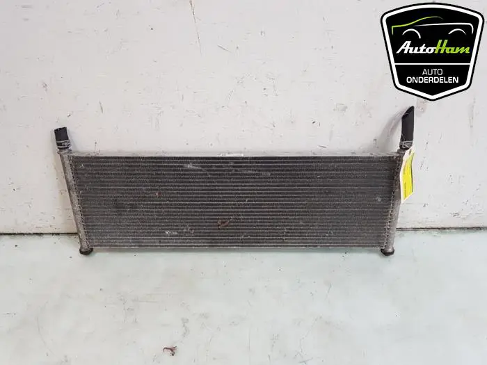 Radiateur Tesla Model X